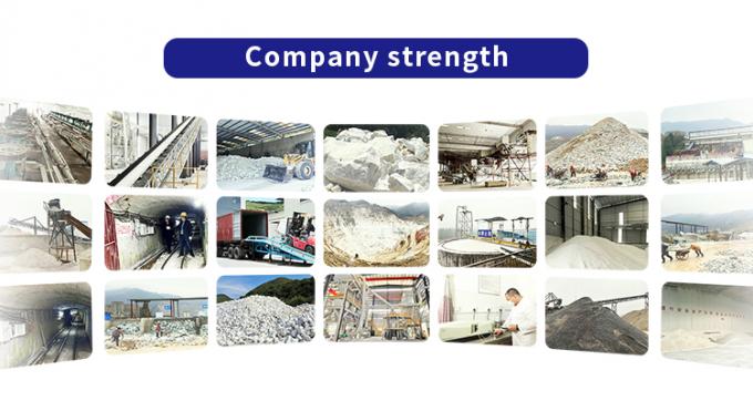Guangdong XiMi New Material Technology Co., Ltd Fatory Tour